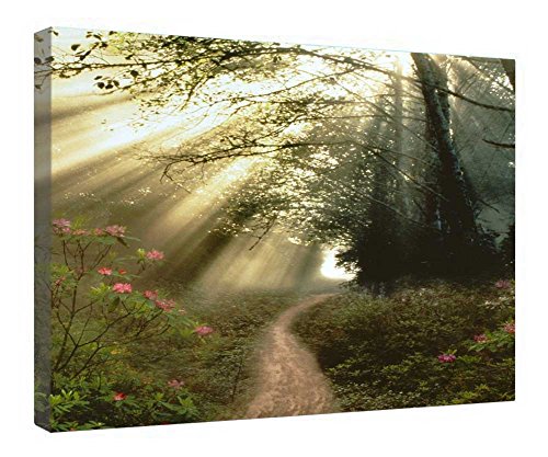 Toile en bois forêt ensoleillée pour créer un salon chaleureux et relaxant