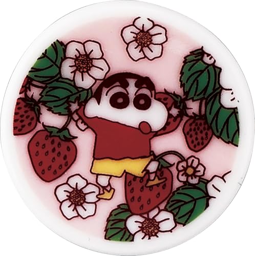 N񂿂 u 4×1cm 񂿂1N̑zo t ObY G H {  CS11-402