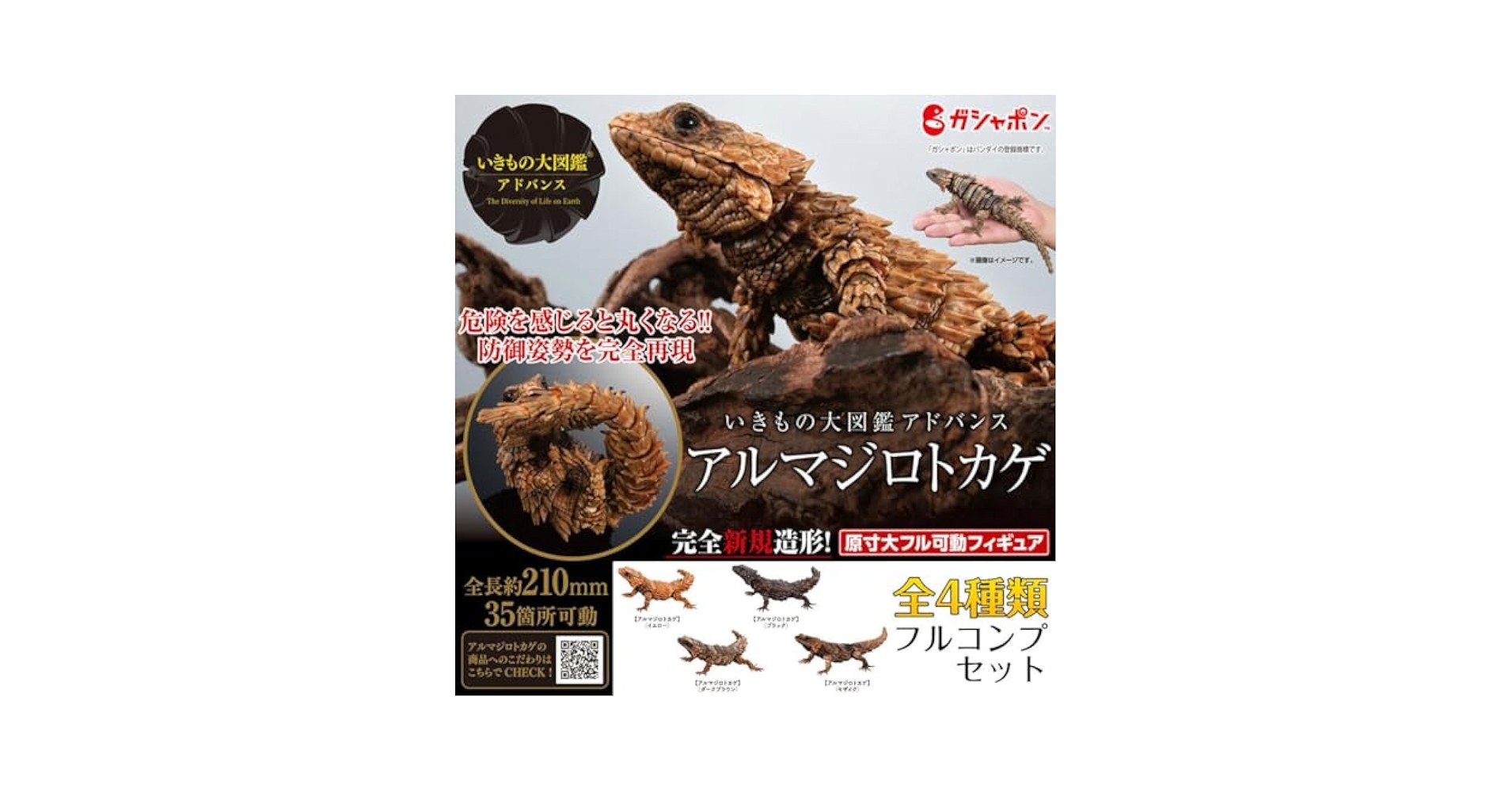 Amazon.co.jp: アルマジロトカゲ 4種 プレミアムガシャポン