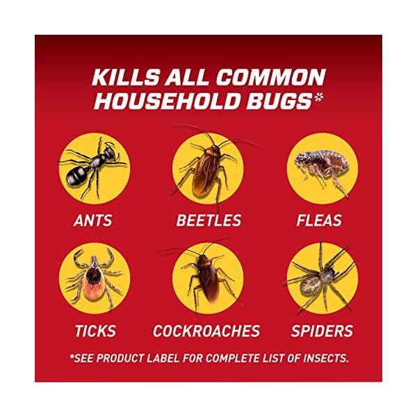 Ortho Home Defense Insect Killer for Indoor & Perimeter2 ReadyToUse