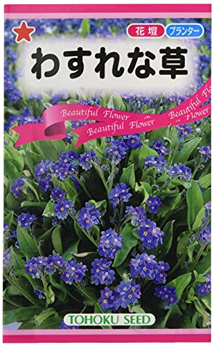 株式会社トーホク わすれな草 00898のサムネイル