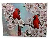 BANBERRY DESIGNS Bird Pictures - Cardinal Pair in Cherry Blossoms - Spring Cardinals LED Lighted Canvas Print - Bird Collection