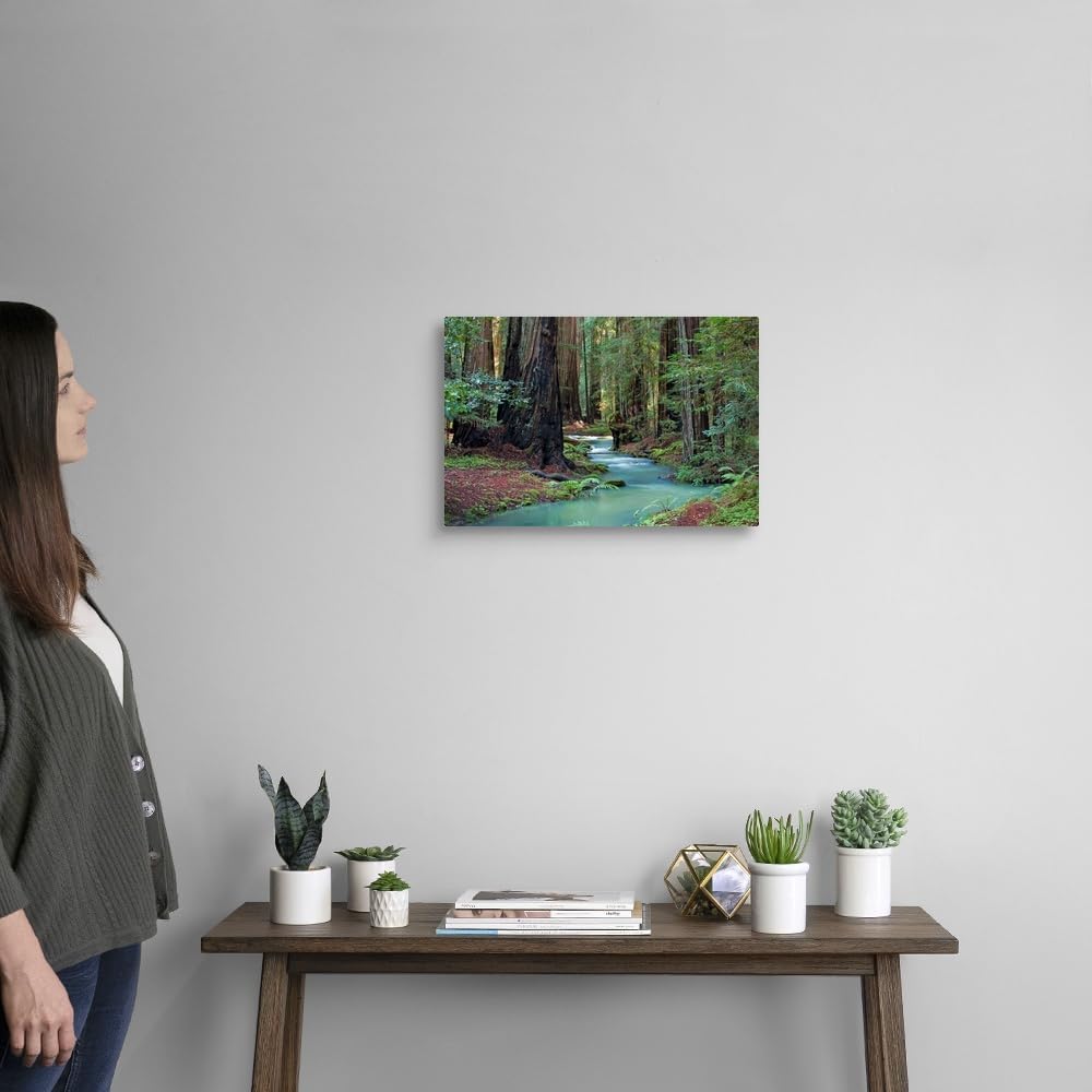 CANVAS ON DEMAND Redwood Forest II White Float Framed Canvas Wall Art Print by Rita Crane, Home Decor, Nature Artwork, 18" x12in