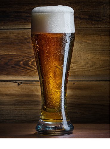 Circleware Basic Pilsner Beer Glasses, Set Of 4, 19 Oz, Clear #TOP2