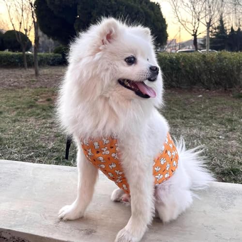 Collier rafraîchissant pour chien contre la déshydratation d'été