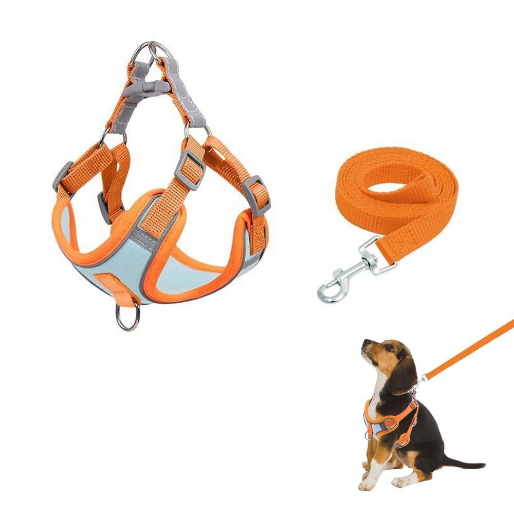 Arnes para Pasear Gatos Arnés Perro Pequeño Antiescape Reflectante Cómodo Arnés Suave para el Pecho Arnes Gato Antiescape Arnés para Animales Fácil De Colocar para Caminar a Diario y Entrenar