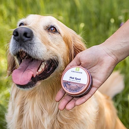 GREENDOOR Hot Spot Balsam 50ml, Fell vital Hund, bei punktuellen Entzündungen, Linderung des Juckreizes, Regeneration der Haut