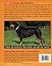 Training Your Rottweiler (Training Your Dog Series)