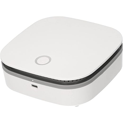ELBME Portable A Purifier Ozone Generator O3 Negative Ion De