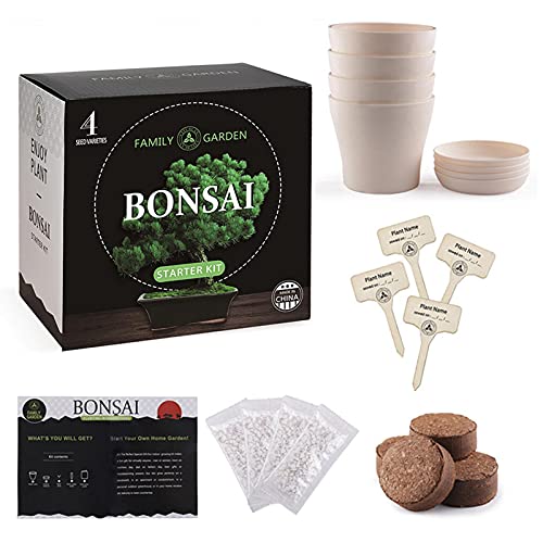 Kit Bonsai Lidl El mejor para comprar en 2024