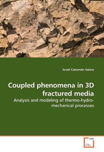 Cañamón Valera, I: Coupled phenomena in 3D fractured media