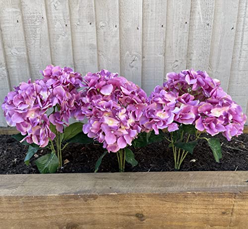 Garden 365 - Hortensias artificiales - Plantas de jardín falsas durante todo el año - Paquete de 3 (Lilac)