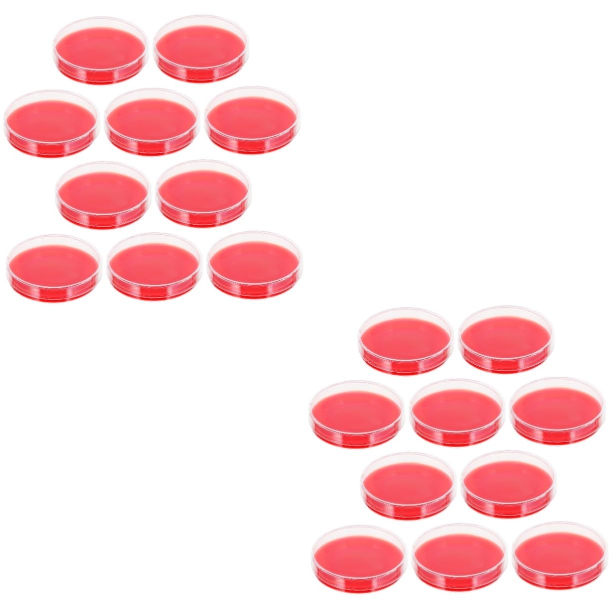 20pezzi Piastre Agar Per Coltura Medium Sicure e Resistenti Per Test Microbiologici e Ricerche Educative