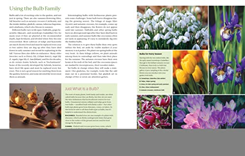 The Flower Gardener's Bible: A Complete Guide to Colorful Blooms All Season Long: 400 Favorite Flow
