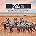 Bilderbuch für Kinder - Zebra: Zebrain Bildern - Kinder von 2 bis 5 Jahren Bilderbuch günstig Kaufen-Bilderbuch für Kinder - Zebra: Zebrain Bildern - Kinder von 2 bis 5 Jahren