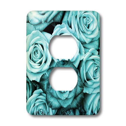 Turquoise N Aqua Roses plaque double pour prise de salon chic