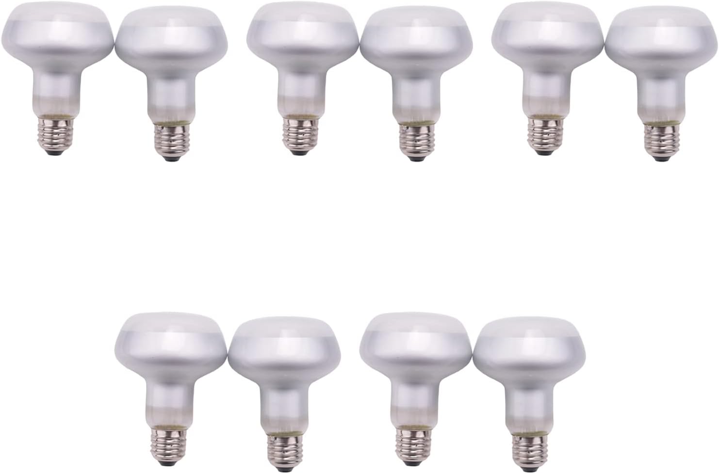 Amazon.co.jp: Arcadia Reptile Pro T5 UVB 照明キット - 24W