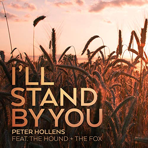 Peter Hollens feat. The Hound + The Fox