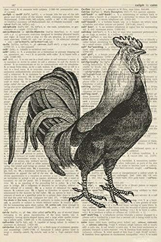 QWRF Metal Tin Signs Chicken Illustration Music Vintage Novelty Funny Home Bathroom Bar Pub Cottage Farm Rustic Man Cave Parlor Garage Club Retro