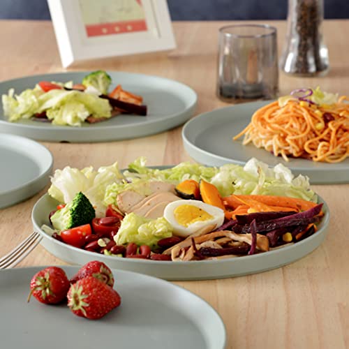 Fine&Nice Melamine Plates, 6 Pieces Dinnerware Plates, 10.5In Plates Set, Safe Dishes, Scratch Resistant, Dishwasher Safe Plates - Sage Color #TOP2