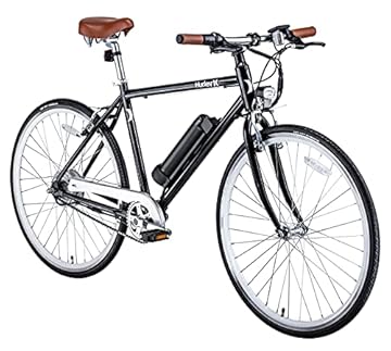 single speed electric bike