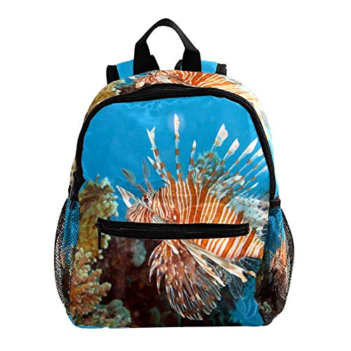 Best C8 Carrying Bag