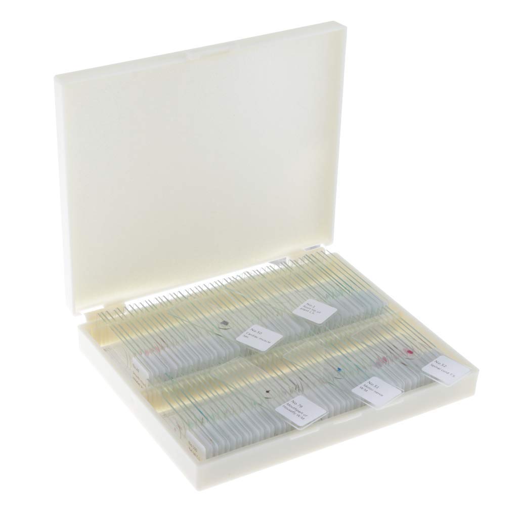 100 Stück Mikroskop Objektträger Deckgläser Biologie Experiment Laborbedarf