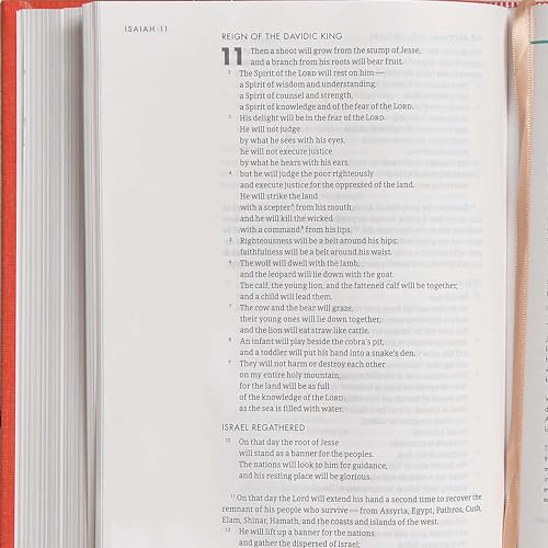 CSB She Reads Truth Bible, Poppy Linen: Notetaking Space, Devotionals, Reading Plans, Easy-To-Read F