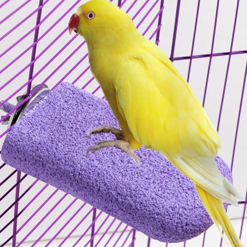 Image of Bird Perch Grinding Stand - Ideal for Small & Medium Birds Like Parrots, Budgies, and for Chinchillas, Hamsters. Great for Beak & Teeth Grinding, Climbing & Jumping (Purple, L)