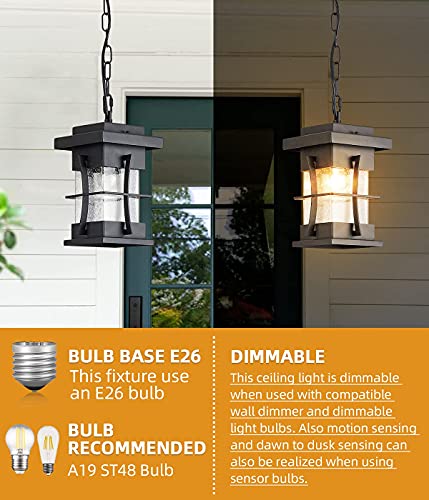 Eeru Outdoor Pendant Light Fixture Exterior Hanging Lantern With Adjustable Chain Black Finish With Seeded Glass Outside Lights For House Patio Front Porch Lighting #TOP4