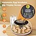 IBKINXX Incubator for Hatching Eggs-18 Egg Capacity, Automatic Egg Turner, Temperature & Humidity Control, 360° Viewing for Chicken, Duck and Quail Eggs
