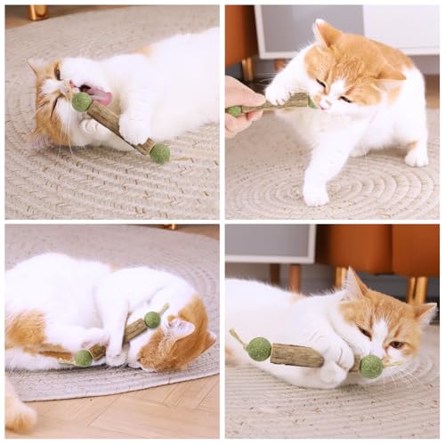 OSDUE Katzenminze Sticks, 6 Stück Matatabi Kausticks mit Ball Katzenminze Spielzeug Katzen Kauhölzer Sticks für Katzen Zahnpflege & Gegen Mundgeruch Natürlich Sicher Katzensticks Kausticks Set