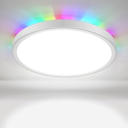 Miniatura 1 de VIPMOON Lámpara de techo LED, 24 W RGB que cambia de color, regulable con control remoto, lámpara de techo redonda de 11 pulgadas para sala de