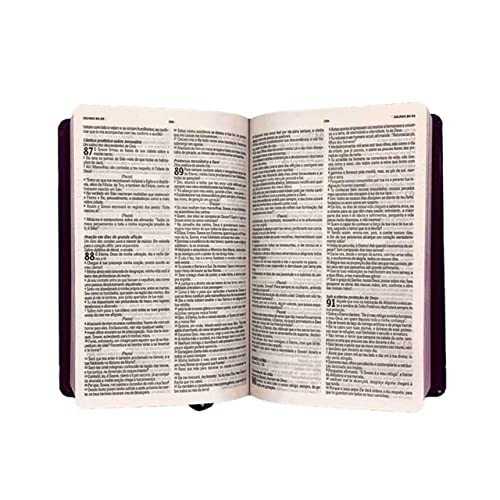 Biblia King James Atualizada Luxo Preta