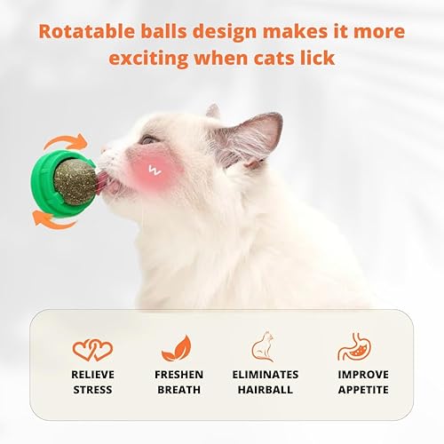 Miniatura 4 de Juguete eléctrico interactivo para gatos – Robot móvil recargable para gatitos aburridos y gatos adultos – Juguetes para mascotas de interior con