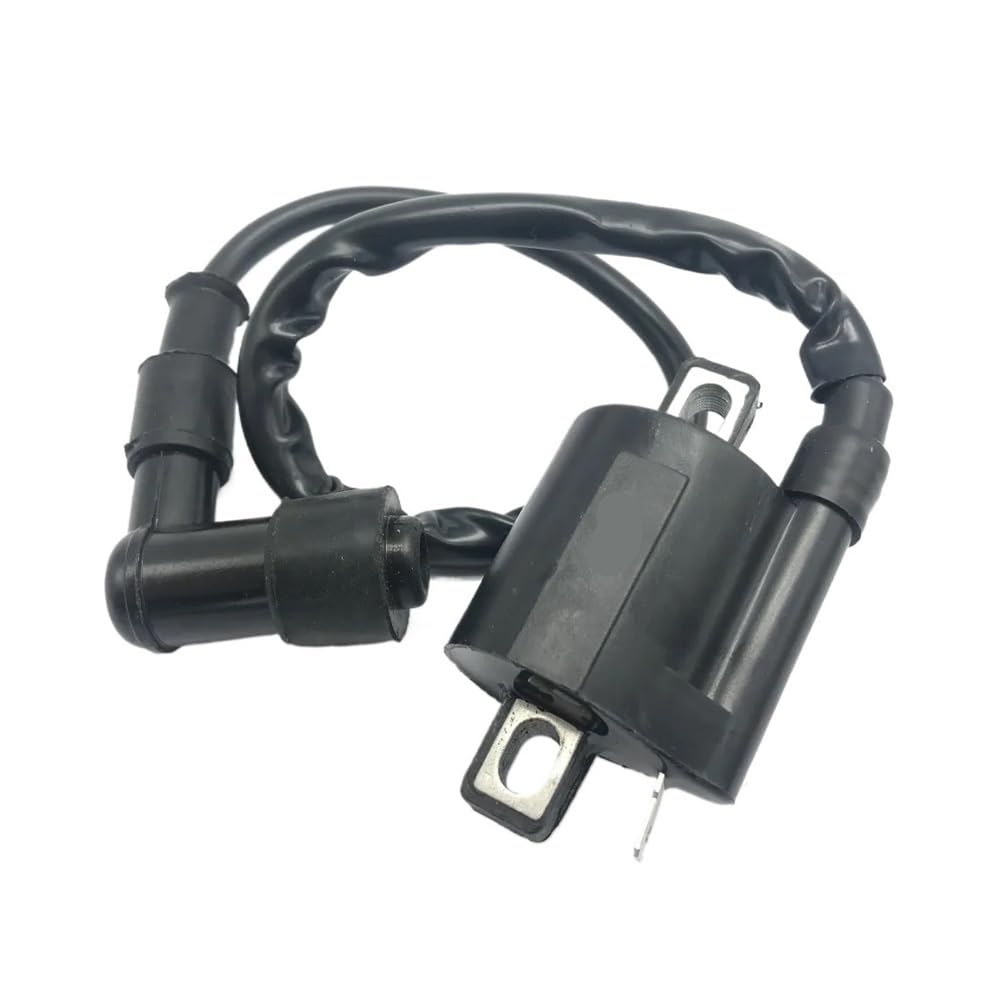 Bobina de encendido para scooter 125cc y motores ATV de 200cc o 250cc
