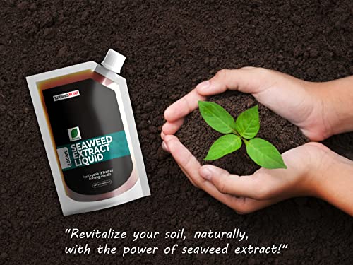 Image of B Natural Organic Seaweed Extract liquid For Spray On Plants & Garden (1, Seaweed 200ml)