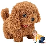 Diseño seguro y apto para niños: elaborado con materiales de peluche suaves combinados con robótica, este juguete es seguro para los niños, suave al tacto y está diseñado para resistir el tiempo de juego enérgico para una diversión duradera.