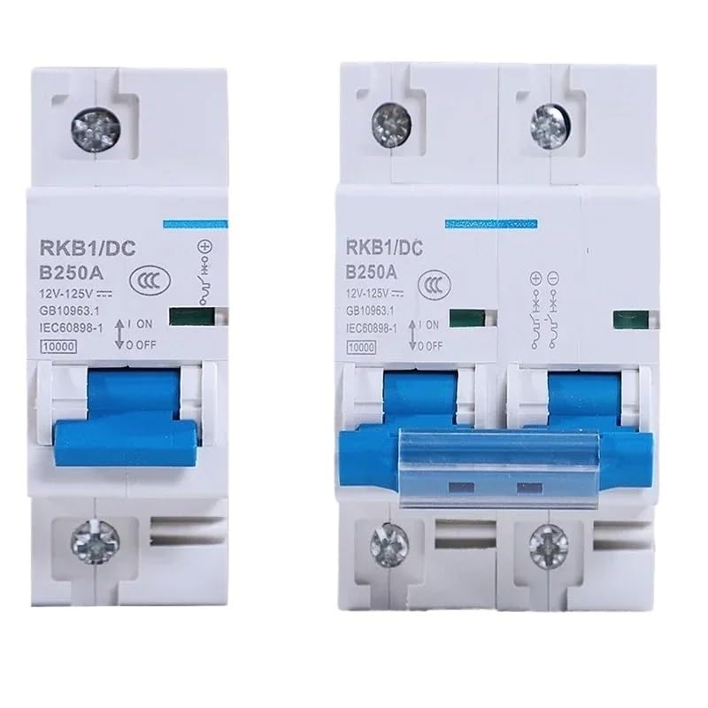 2-biegunowy wyłącznik obwodu stałego 12-125 V 1-biegunowy automatyczny wyłącznik automatyczny do pojazdów elektrycznych, ochrona akumulatora 80A/100A/125A/200A/250A (2P, 250A)