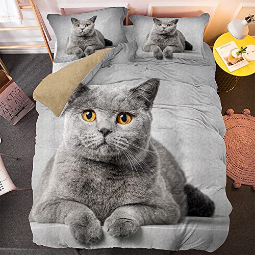 ZAHOCAI Parure De Lit 140x200 Chat British Shorthair Gris avec Housse De Couette en Microfibre - 2 Taies d'oreiller 65x65 cm - Parure De Lit 1 Personne avec...