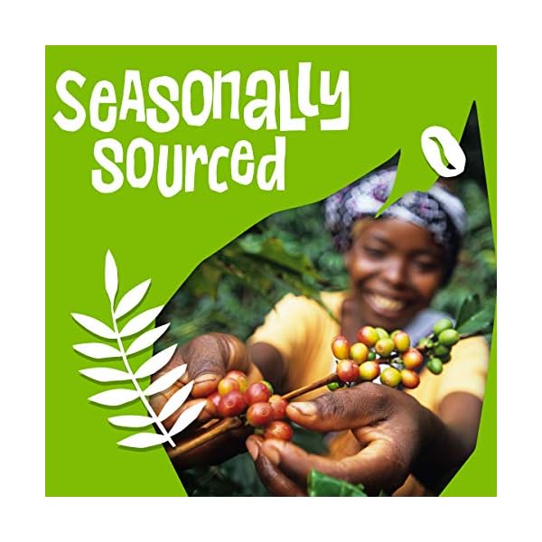 Ethical Bean Fairtrade Organic Coffee, Classic Medium Roast, Ground Coffee Beans - 100% Arabica Coffee (8 oz Bag), 0.5 Pound (Pack of 1)