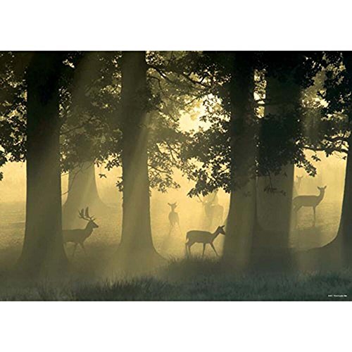 Heye 29497 - Cervi Puzzle 1000 Pezzi, Multicolore