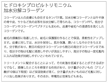 犬猫用　LOHAS' LINO 高級シャンプー＆トリートメントセット 犬猫用LOHAS' LINO 高級シャンプー＆トリートメントセット
