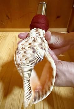 法螺貝　ホラガイ　ほら貝　ミニ　24㎝‼️ 美品 Amazon.co.jp: ミニ法螺貝 ほら貝 ホラガイ : 食品・飲料・お酒