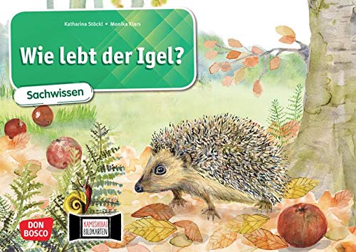  Wie lebt der Igel? Kamishibai Bildkartenset.: Entdecken - Erzählen - Begreifen: Sachwissen. Eine Sachgeschichte für das Kamishibai. Geeignet für den Sachunterricht für die Klassen 1 bis 4.