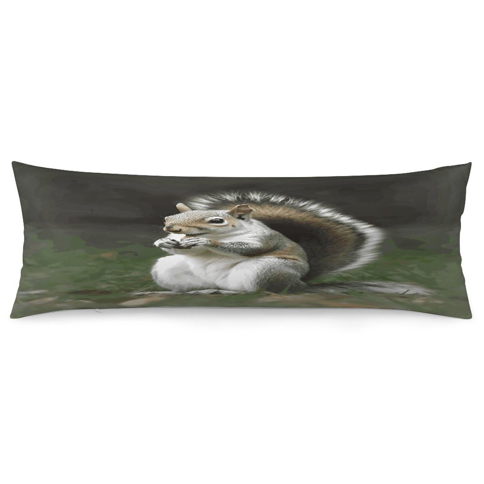 Squirrel Throw Pillow Covers with Silent Zipper Polyester Pillow Protectors Removable Pillow Cases Soft Pillowcase Cozy Pillow Sham Cushion Cover for Sofa Car Bed 20"x54"