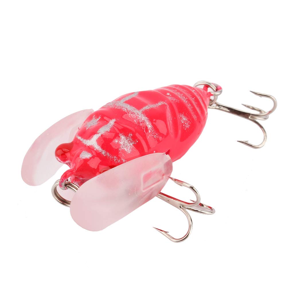 1Pcs Cicada Fishing Lure, Lifelike 3D Holographic Eyes Freshwater Bait Rattle for Aggressive Bass Suitable for Fishing Enthusiasts : Sports & Outdoors