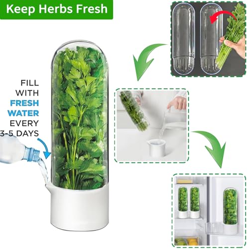Image of Herb Saver for Refrigerator, Herb Storage Container Cilantro Container for Fridge, Fresh Herb Keeper for Cilantro, Basil, Asparagus, Parsley, Keeps Greens Vegetables for 2-3 Weeks (2PCS)