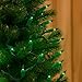 Novelty Lights 11 Feet 50 Bulbs Traditional Incandescent Mini Lights, Green on Green Wire with 2.5