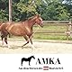AMKA Kontaktstock mit Seil für Bodenarbeit 120 cm GRÜN Reitstick Bodenarbeit Stock Carrot Stick Horsemanstick für Parelli Arbeit, Natural Horsemanship Karottenstecken Pferdestick